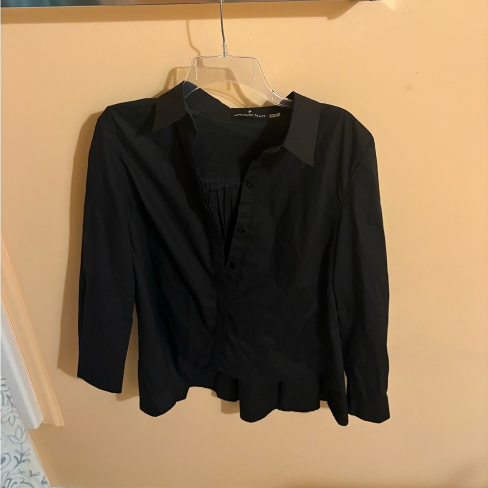 Pomander Place Tuckernuck Black Accordion Back Button Up Shirt